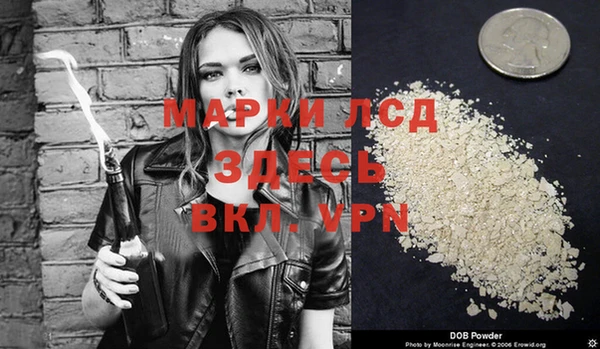 твердый Аркадак