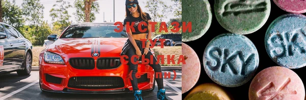 твердый Аркадак