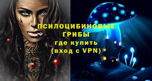 гашик Алексин