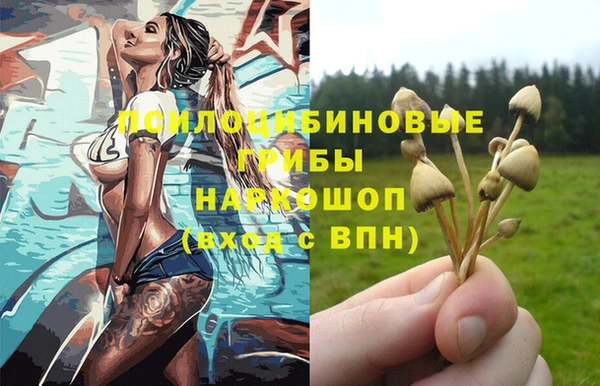 твердый Аркадак