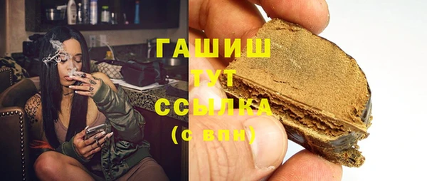 гашик Алексин