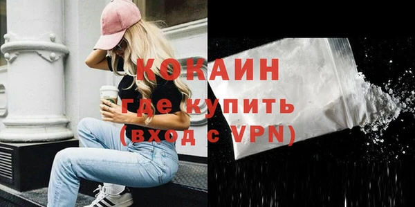 гашик Алексин