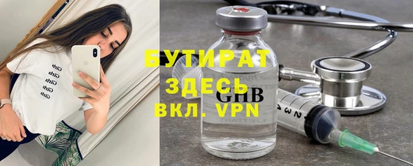 гашик Алексин